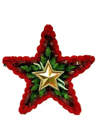 Георгиевская звезда