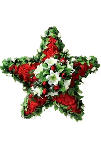 Звезда Память поколений