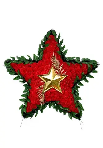 Вечная звезда